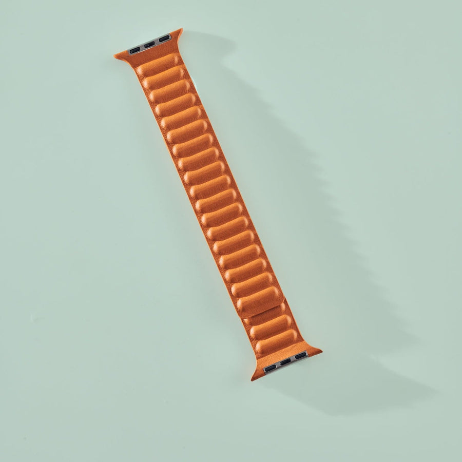 Fone King Magnetic iWatch Band