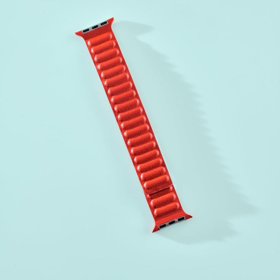 Fone King Magnetic iWatch Band