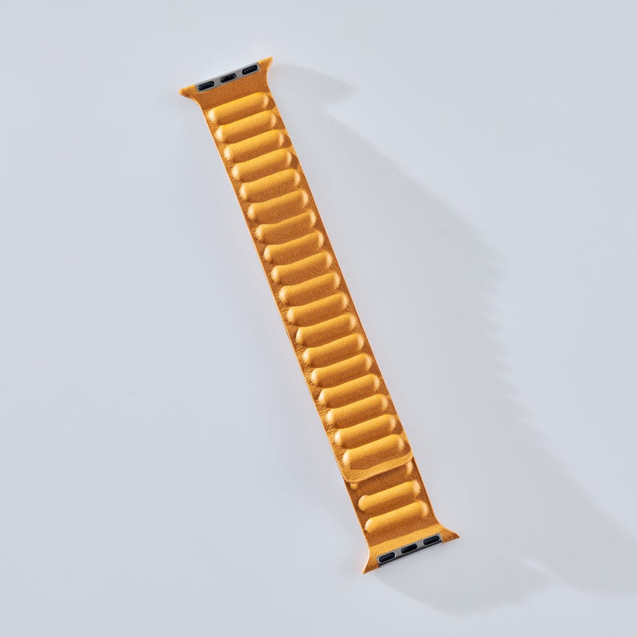 Fone King Magnetic iWatch Band
