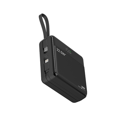 Raw TechLabs Power Banks Power Evolution X2