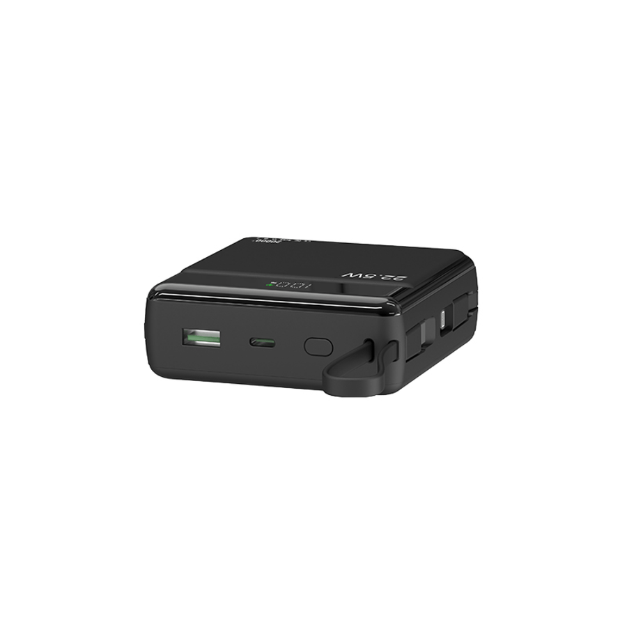 Raw TechLabs Power Banks Power Evolution X2