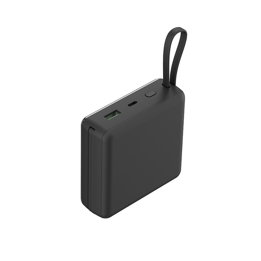 Raw TechLabs Power Banks Power Evolution X2