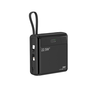 Raw TechLabs power bank Black Power Evolution X2