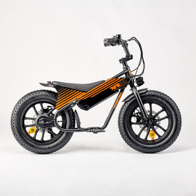 Flight Risk eBike FR101