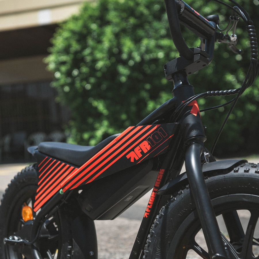 Flight Risk eBike Black FR101