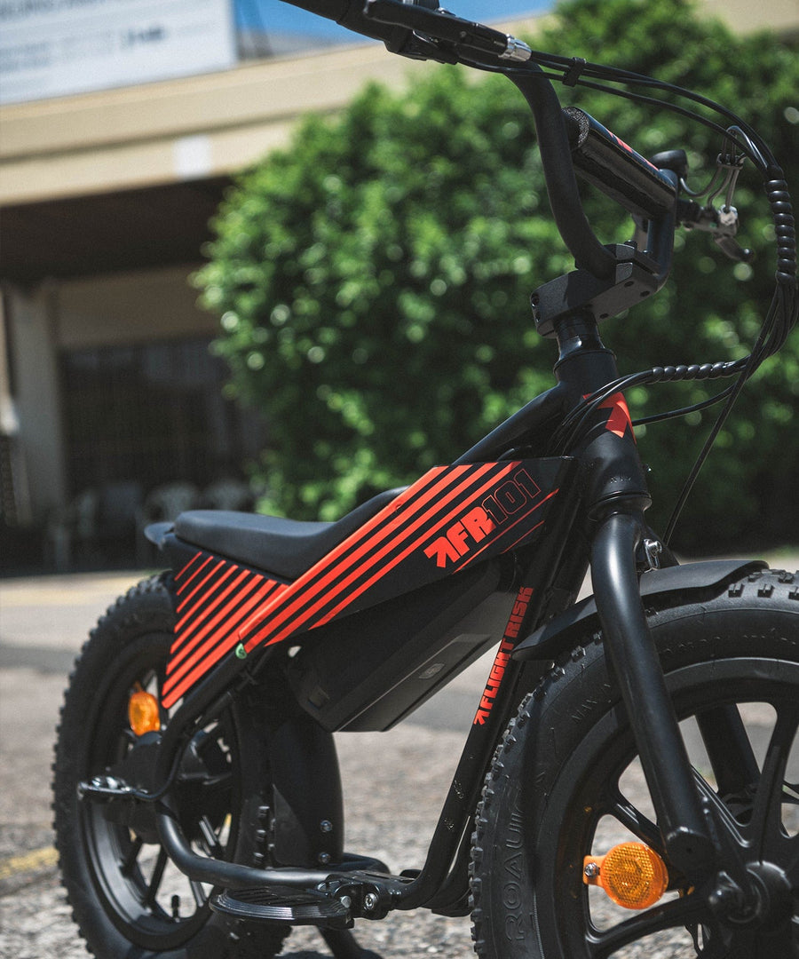 Flight Risk eBike Black FR101