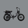 Flight Risk eBike Black FR303