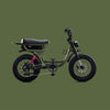 Flight Risk eBike Olive FR333