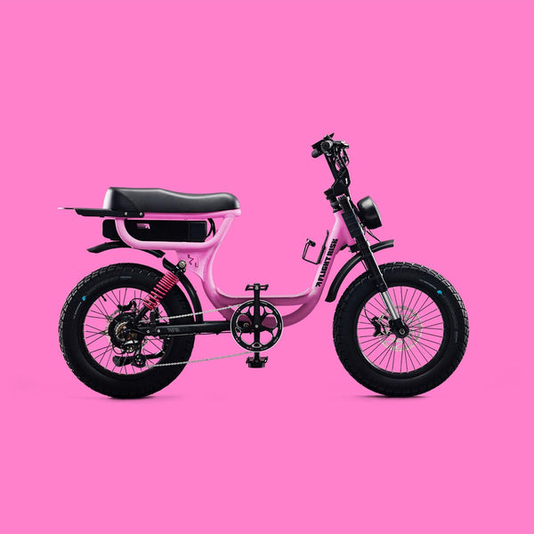 Flight Risk eBike Pink FR333