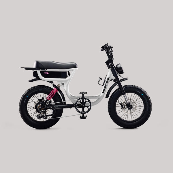 Flight Risk eBike White FR333