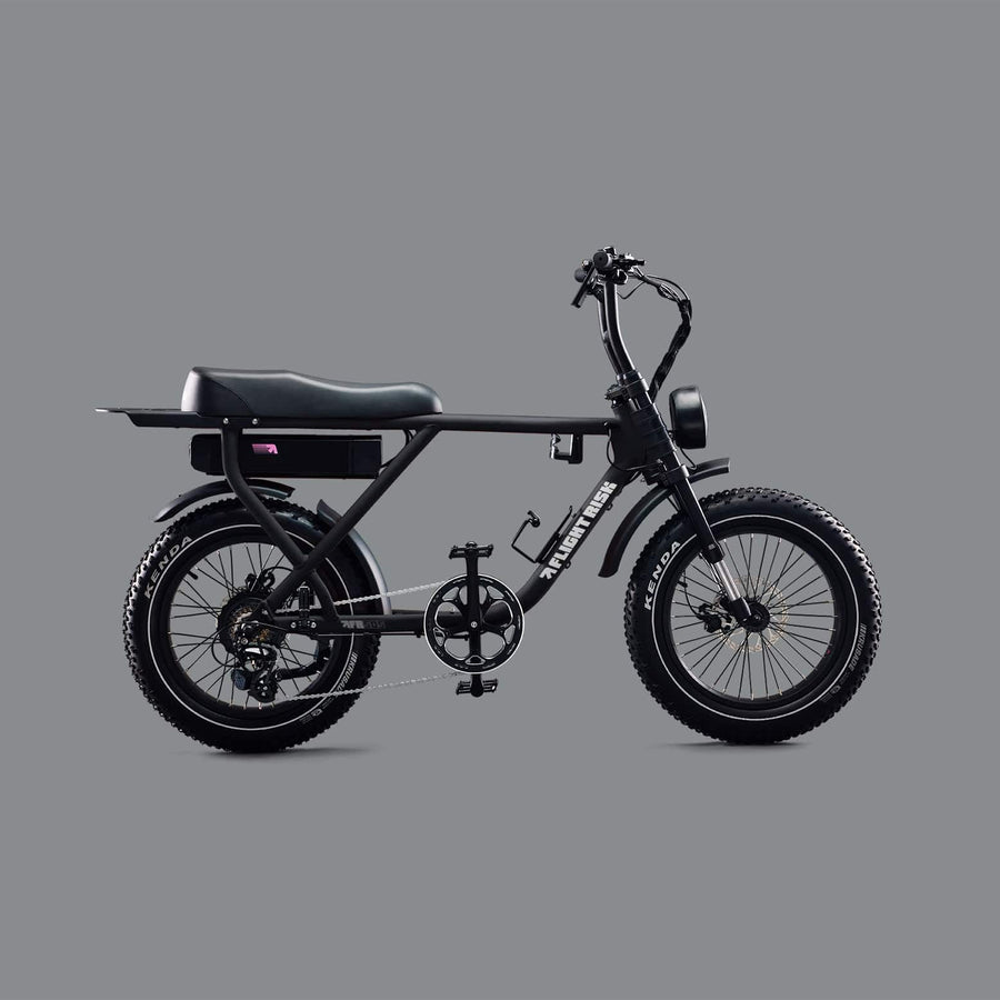 Flight Risk eBike Black FR505