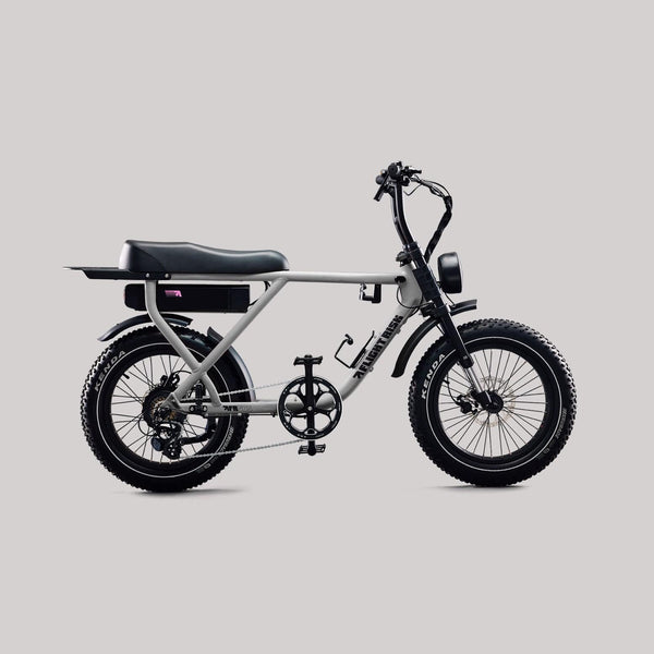 Flight Risk eBike Silver FR505