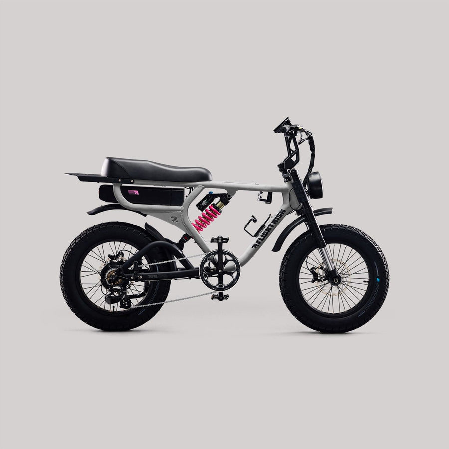 Flight Risk eBike Silver FR555