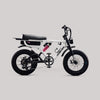 Flight Risk eBike White FR555