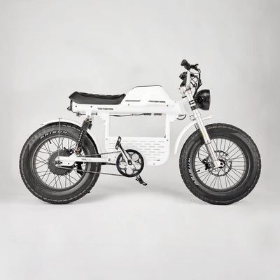 Flight Risk eBike White / No FR888